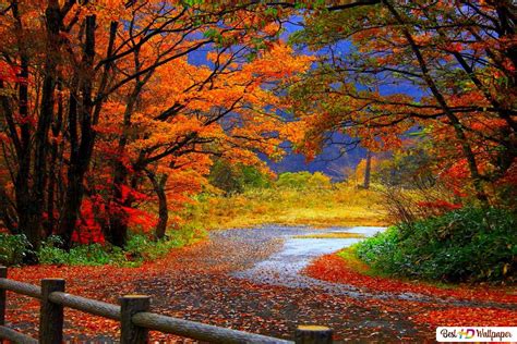 Beautiful Autumn Scenery Hd Wallpaper Download Landscape Wallpapers