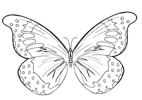 Beautiful Butterfly Coloring Pages At Getdrawings Free Download
