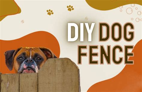 Diy Dog Fence Personal Solution For Your Dogs Perimeter In 2022