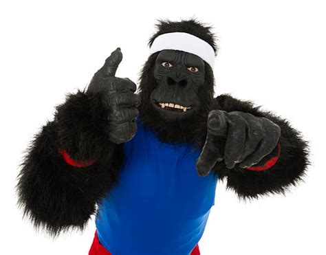 Monkey Thumbs Up Stock Photos Pictures And Royalty Free Images Istock