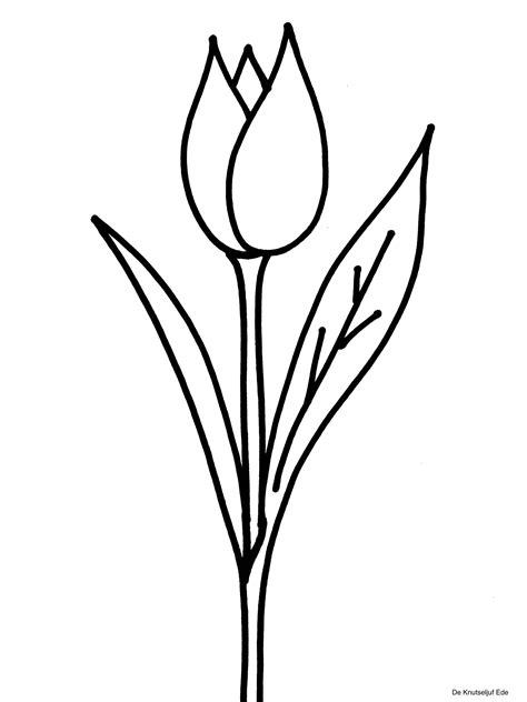 Kleurplaten bloemen bloemen knutselen kleurplaat kleurplaten