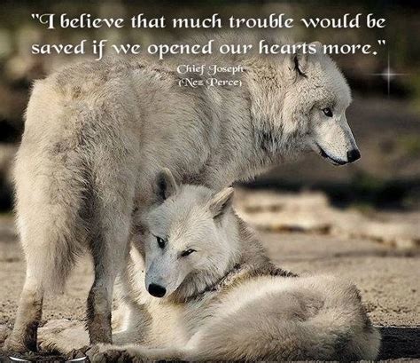 Timeline Photos Whispers From The Soul Facebook Wolf Spirit