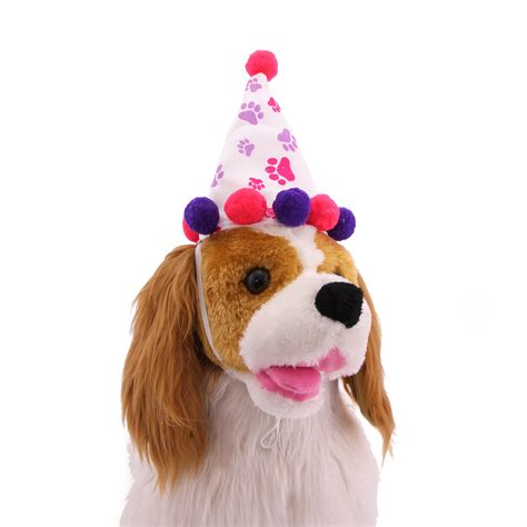 Girl Paw Print Birthday Dog Hat With Same Day Shipping Baxterboo
