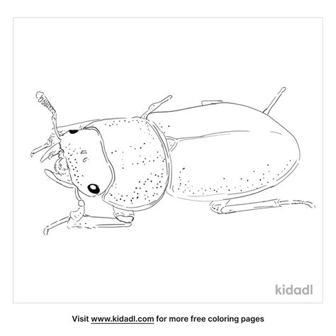 Lesser Stag Beetle Coloring Page Free Bugs Coloring Page Kidadl
