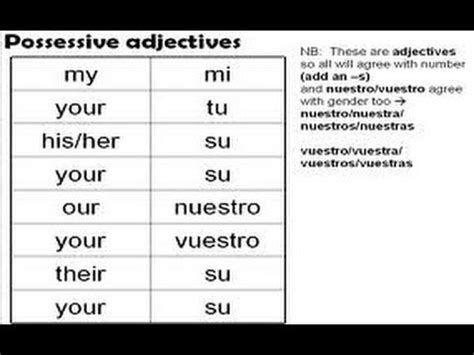 Pronombre Posesivos En Ingles B Squeda De Google Possessive Adjectives Adjectives Possessives