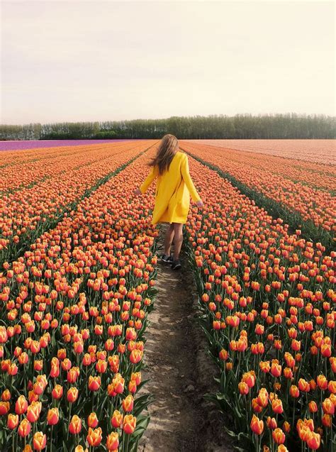 Couple Capture The Technicolor Wonderland Of Hollands Tulip Season