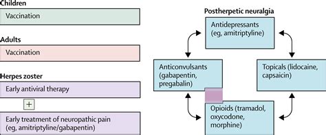 Prevention And Treatment Of Postherpetic Neuralgia The Lancet
