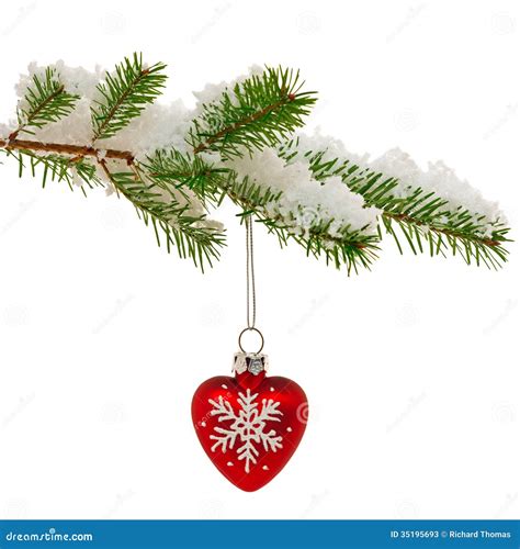Christmas Bauble On Snow Covered Tree Branch Stock Photos Image
