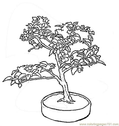 Sakura Wood Coloring Page - Free Japan Coloring Pages