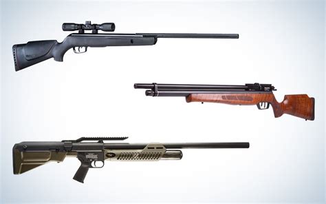 The Best Air Rifles For 2023 Afield Daily