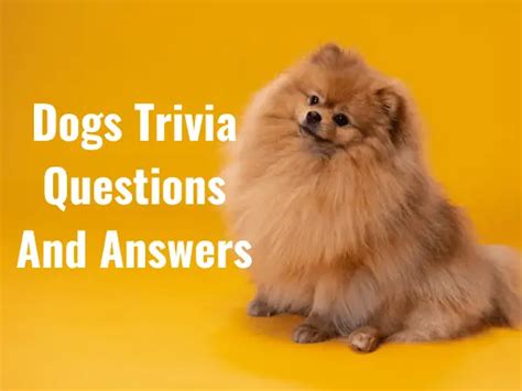 64 Best Dogs Trivia Questions And Answers 2024