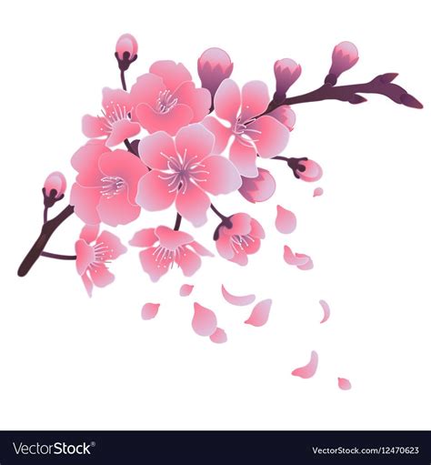Flower Petals Flowers Kimono Illustrations Free Preview Adobe