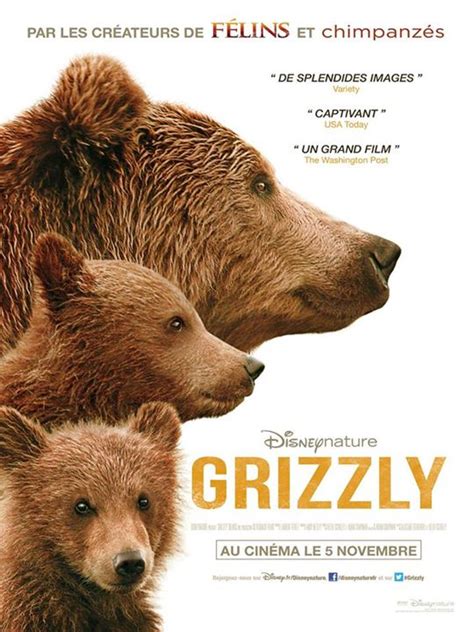 Comment Se Termine Le Film L'ours - Grizzly - Film 2014 | Cinéhorizons