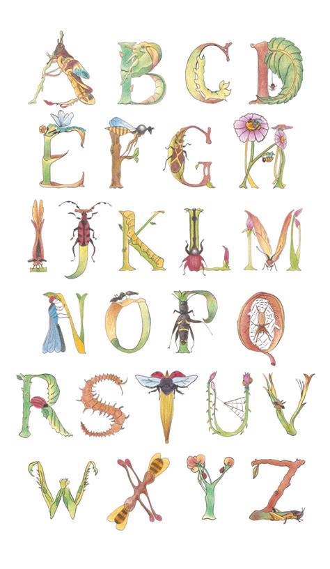 Insect Alphabet By Giantbee On Deviantart