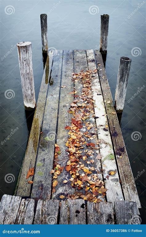 Old Wooden Jetty Stock Photo Image Of Leaf Outdoors 36057386