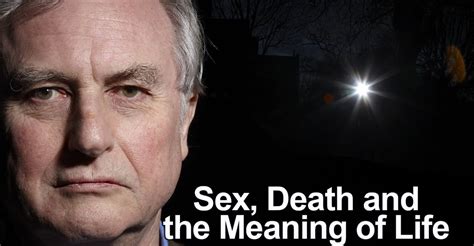 Sex Death And The Meaning Of Life Suoratoista