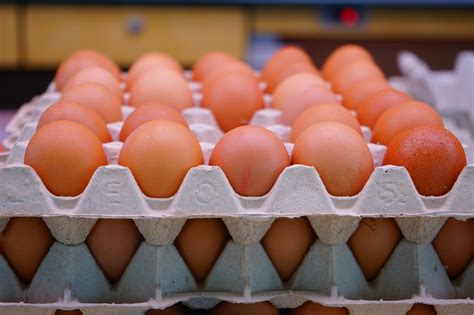 Près De 250 000 œufs Contaminés Au Fipronil Ont été Mis Sur Le