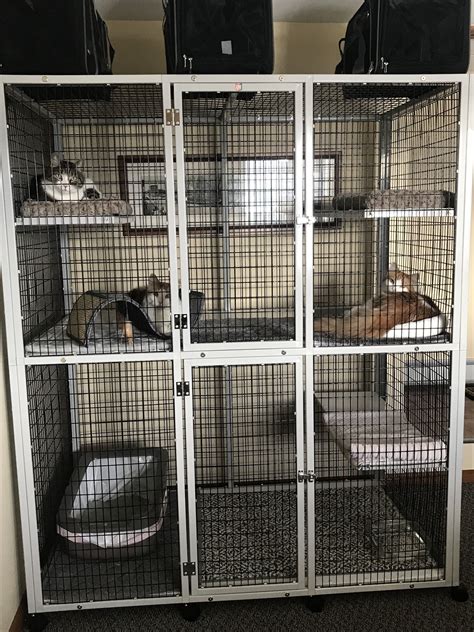 Cat Cages Indoor Indoor Cat Outdoor Cat Enclosure Pet Enclosure
