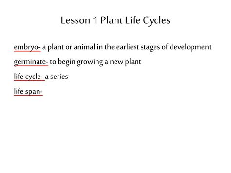 Ppt Chapter 3 Life Cycles Powerpoint Presentation Free Download Id