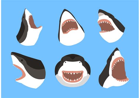 Shark Mouth Vector At Getdrawings Free Download