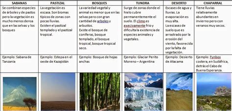 Ejemplos De Biomas Terrestre