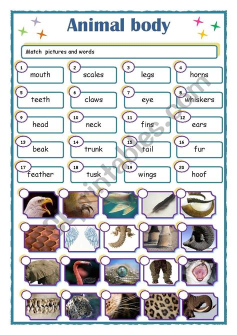 Parts Of The Body Animals Worksheets Photos Cantik