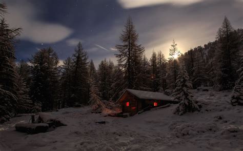 Download Light Cabin Tree Snow Night Photography Winter Hd Wallpaper