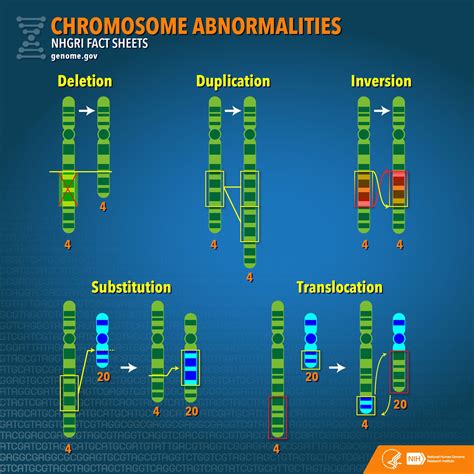 View Illustration Chromosome Structure X Chromosome Chromosomal Abnormalities Dna Research