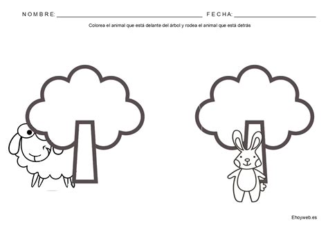 Tarea 86 Delante DetrÁs Ehoywebes