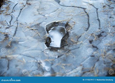 Crushed Ice In A Forest Frozen Pond The Ice Crust Stock Image