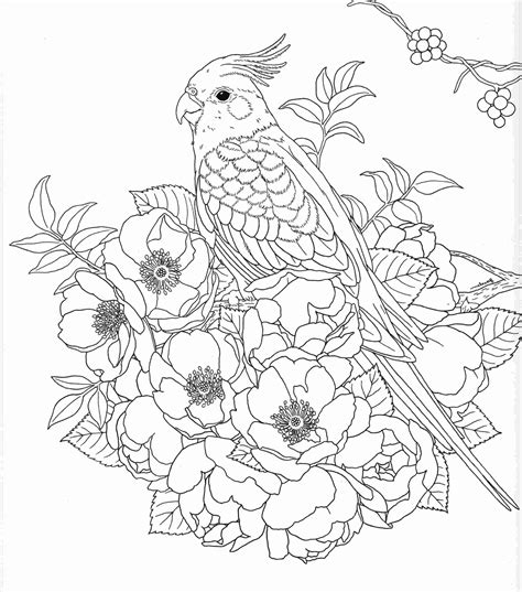 Adult Nature Coloring Pages Harmony Of Nature Adult Coloring Book Pg 30