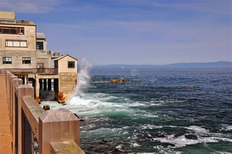 18356 Monterey Stock Photos Free And Royalty Free Stock Photos From