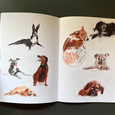Sketchbook Dogs Sketchbook Zine Jenny Bloomfield Illustration