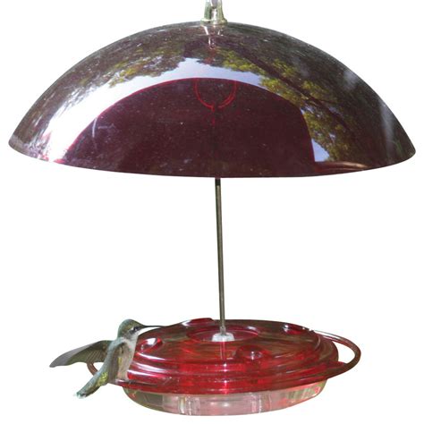Protective dome is height adjustable to selectively screen out certain sizes of birds. 8 oz. Hummingbird Feeder with Dome - Contemporary - Bird ...