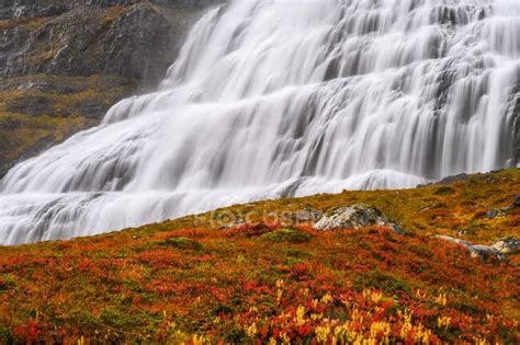 Dynjandi Also Known As Fjallfoss Series Of Waterfalls Located In The