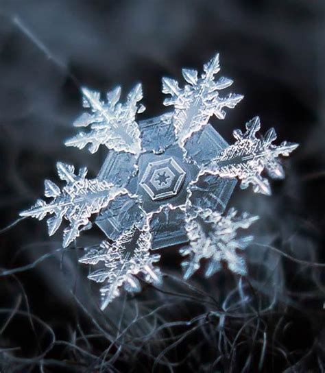 The Sacred Geometry Of Snowflakes Cristaux De Neige Cristaux De