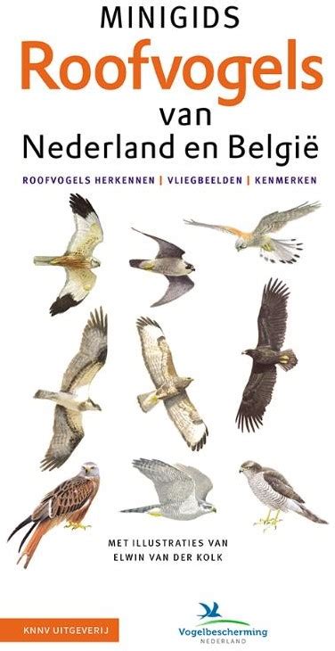 Set Minigids Roofvogels Van Nederland En Set Van Louwe Kooijmans