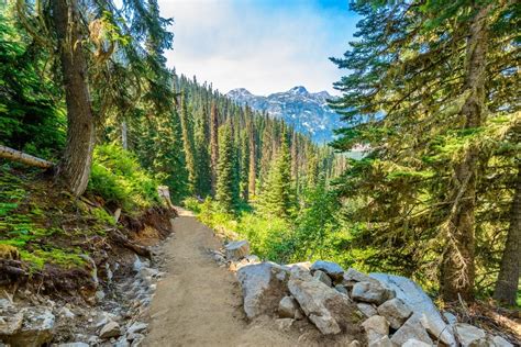 Canada S Best Hiking Routes The 9 Most Scenic Trails In The Country