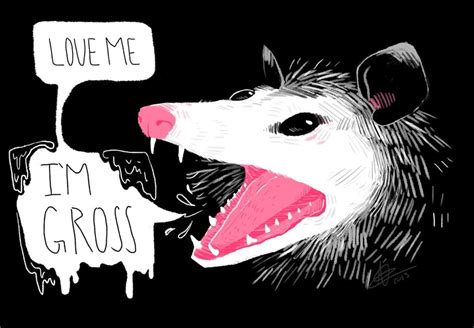 Awesome Possum Baguio Opossum Pics Art Just In Case Cute Art Art