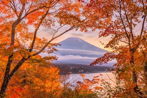 Mt Fuji Japan In Autumn Season Stock Photo Image Of Famous Koyo
