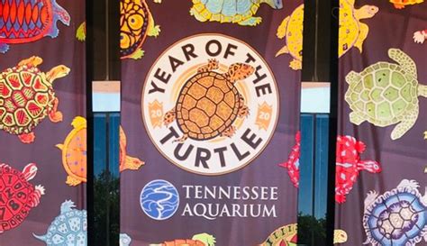 Tennessee Aquarium Chattanooga 2020 All You Need To Know Before You