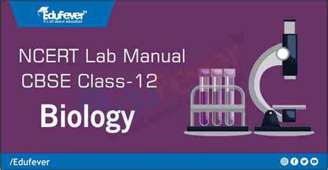 Class xii sample papers, guess papers are as per latest syllabus of central board of secondary education having listing of cbse and non cbse schools with alumni associated with schools. Download CBSE Class 12 Biology Lab Manual 2020-21 Session ...