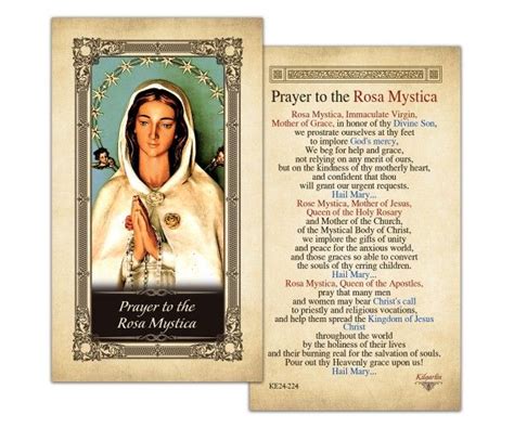 Laminated Holy Cards Rosa Mystica Laminated Prayer Card Holy Cards
