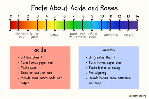 Facts About Acids And Bases
