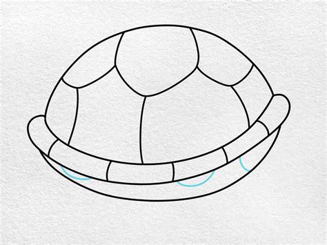 How To Draw A Turtle Shell Helloartsy