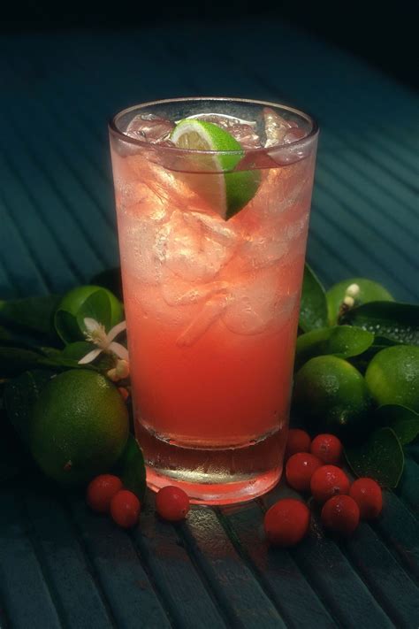 Miami Iced Tea | Recipe | Tropical drink recipes, Cranberry vodka ...
