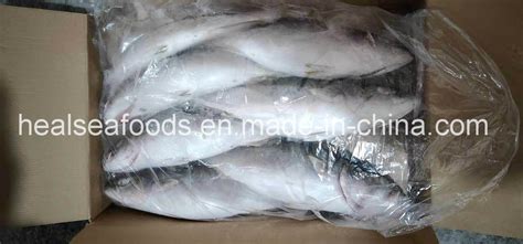 frozen yellow tail 500 700g for sale china price supplier 21food