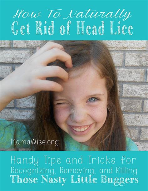 lice yikes everyone dreads getting lice however there are some great natural