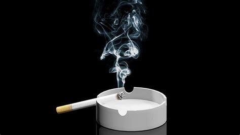 A Nem Dohányzókra Is életveszélyes A Cigarettafüst Alma Magazin