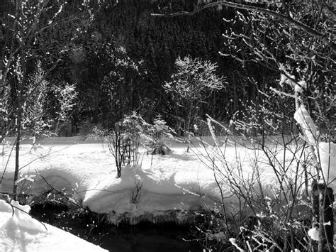 Fairytale Winter Landscape In Black And White Stock Photo Image Of
